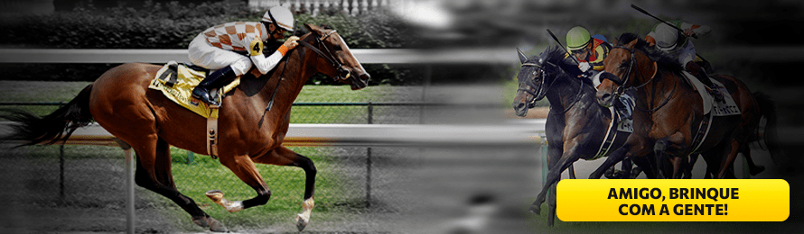 Apostas em corridas de cavalos