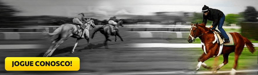 ASSEVERE O CONHECIMENTO E DESCUBRA TIPOS DE APOSTAS EM CORRIDAS DE CAVALOS