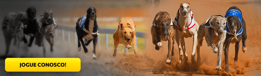 ASSEVERE O CONHECIMENTO E DESCUBRA TIPOS DE APOSTAS EM CORRIDAS DE CAVALOS